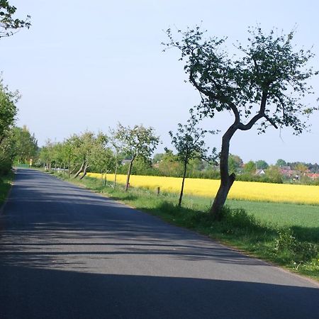 Ferienwohnung Im Grunen - Hof Blohme Langwedel  Экстерьер фото